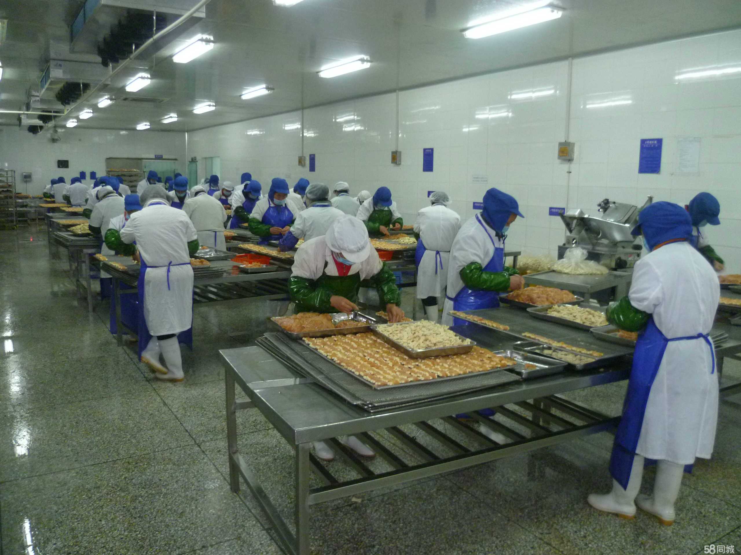 江蘇康貝寵物食品 以匠心品質引領健康寵物飲食新潮流